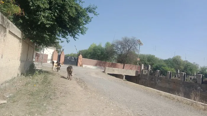 Govt Girls Degree CollegeKDA town Picture 2