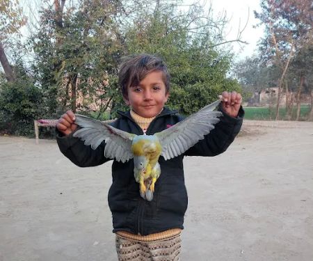 Govt Boys Elementary School Murghanwala