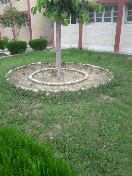 government technical training institute Picture 6