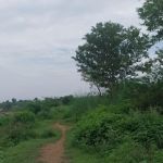 Govt Girls Primary School