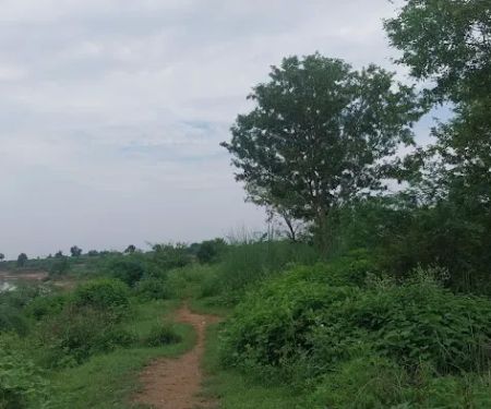 Govt Girls Primary School