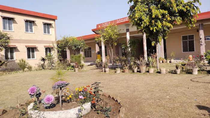 Govt Higher Secondary School (GHSS) Musazai Picture 6