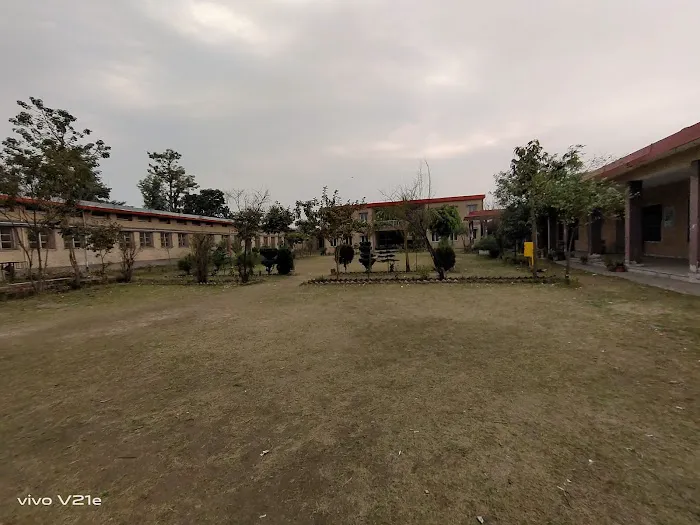 Govt Higher Secondary School (GHSS) Musazai Picture 9