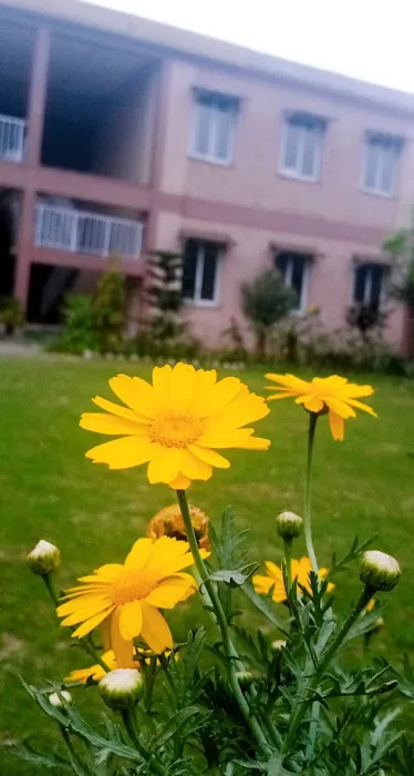 Govt Higher Secondary School (GHSS) Musazai Picture 4
