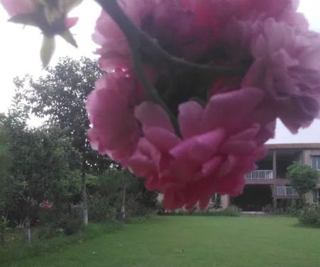 Govt Higher Secondary School (GHSS) Musazai