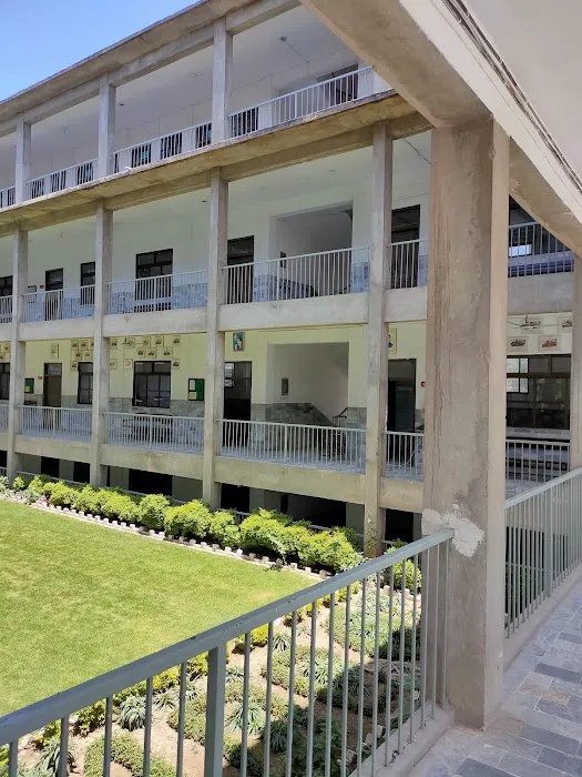 Peshawar Model Degree College Boys Picture 5