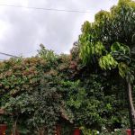Jamia dar ul uloom Zubairia