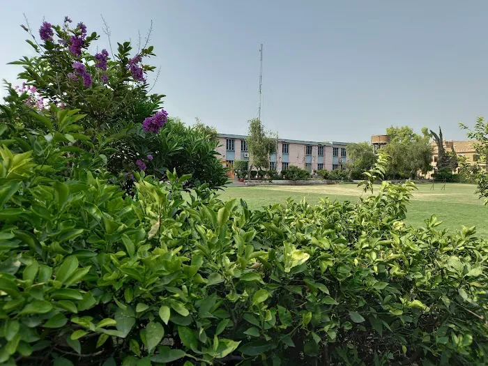 Government Superior Science College Peshawar Picture 2