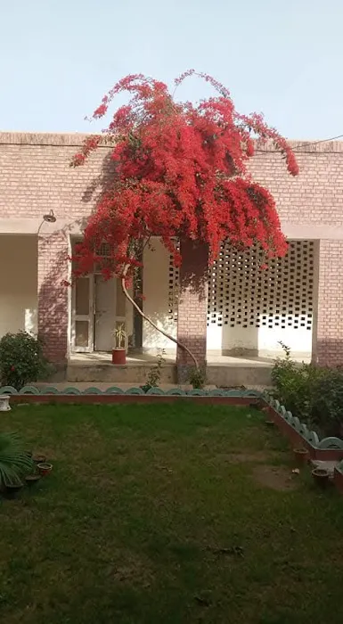 Govt. Associate College for Women Kamarmashani Mianwali Picture 7