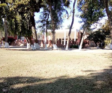 Govt Primary School