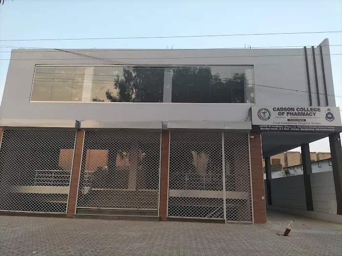 Cadson College of Pharmacy GT Road Kharian Picture 1
