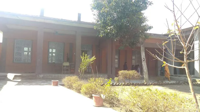 Government Primary School Picture 7