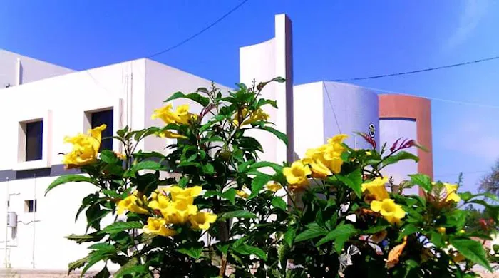 University of Mianwali Picture 6