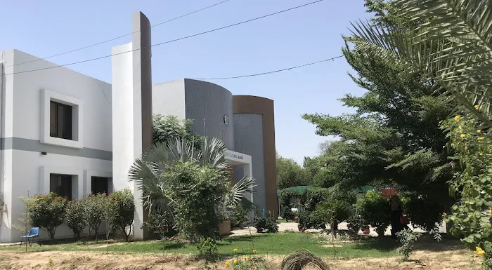 University of Mianwali Picture 3