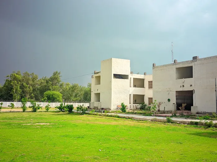 University of Mianwali Picture 1