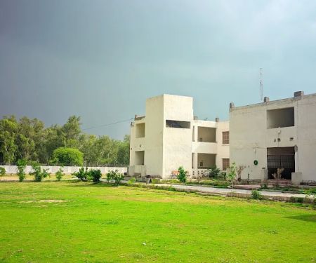University of Mianwali