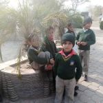 Dare Arqam School Yarhussain