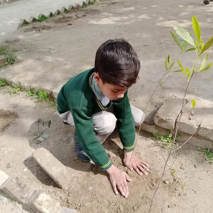 Dare Arqam School Yarhussain Picture 7