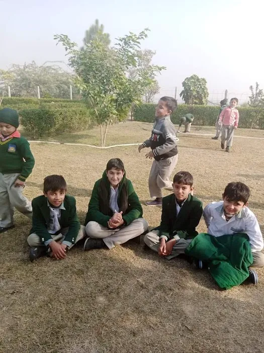 Dare Arqam School Yarhussain Picture 3