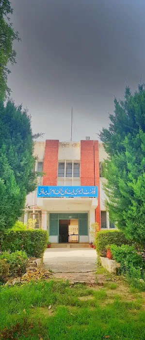 GOVT. INSTITUTE OF COMMERCE (WOMEN) MIANWALI Picture 6