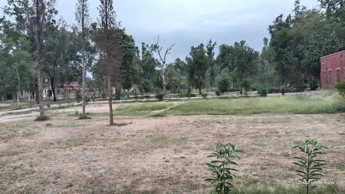 Government Graduate College Mianwali Picture 8