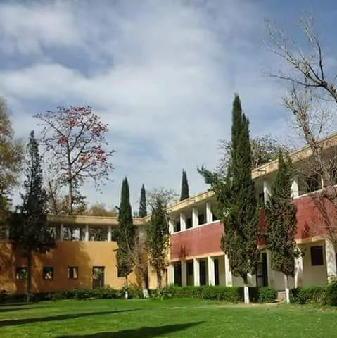 Government Graduate College Mianwali Picture 10