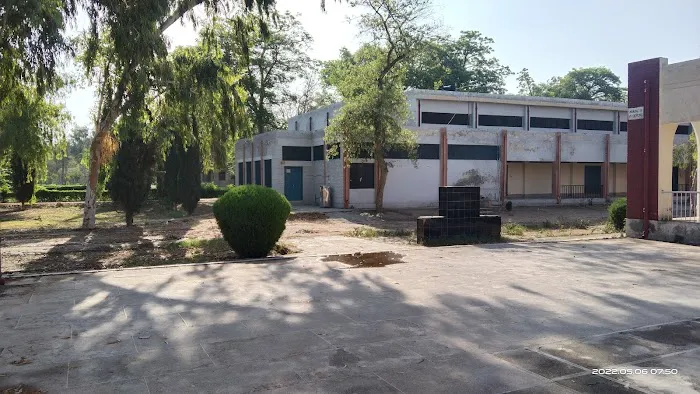 Government Graduate College Mianwali Picture 5