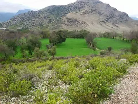 Dalil Khel Bala Akhurwal Darra Adam Khel Picture 4