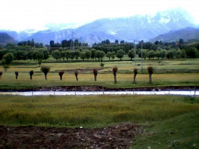 Dalil Khel Bala Akhurwal Darra Adam Khel Picture 1