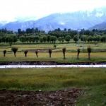 Dalil Khel Bala Akhurwal Darra Adam Khel