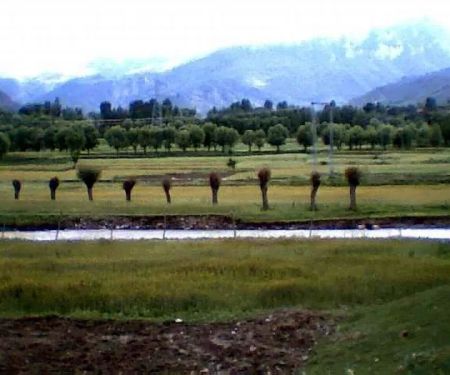 Dalil Khel Bala Akhurwal Darra Adam Khel