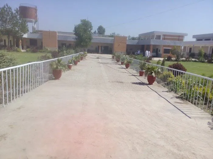 Government Degree College Badaber Peshawar Picture 6