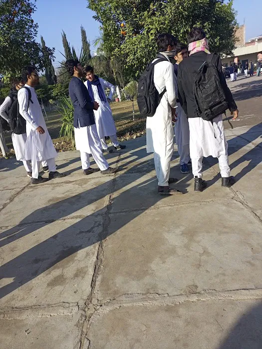 Government Degree College Badaber Peshawar Picture 5