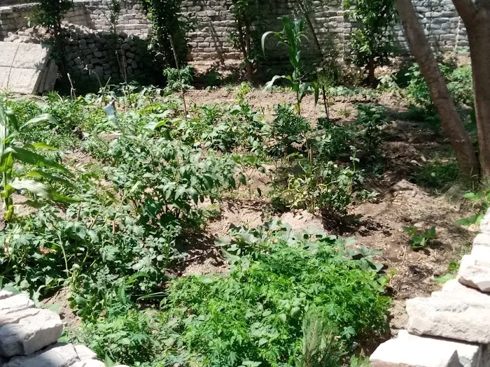 Baba House Picture 7