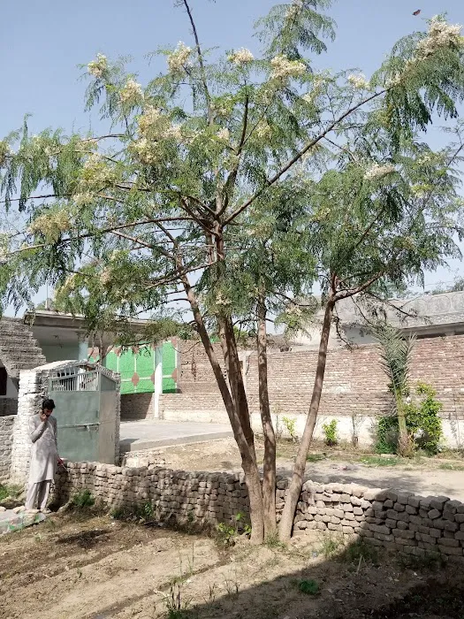 Baba House Picture 6