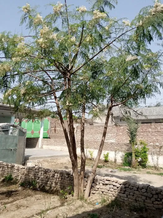 Hujra Qutub Shahe Picture 5