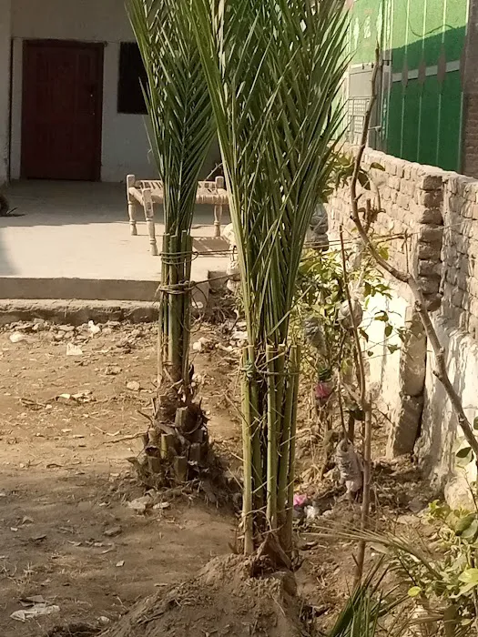 Hujra Qutub Shahe Picture 10