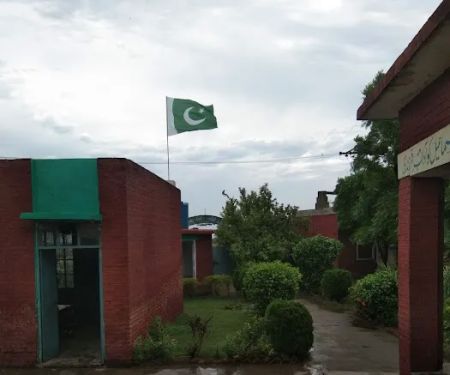 Government Primary School (Boys)