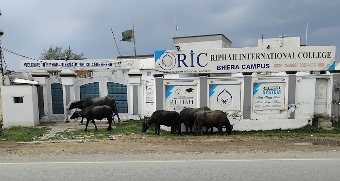 Riphah International College Bhera Picture 10