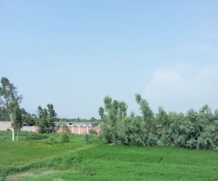 Government Girls High school mehood abad