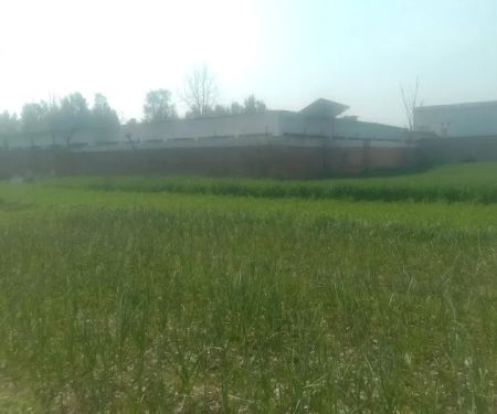Govt girls high school bhai khan