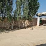 Government Girls Primary School Wazir Khan Khaly Sub Division Hassan Kheal