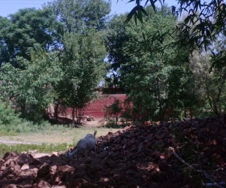 GGPS Banda Bazi Khel