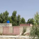 Govt elementray school noranga
