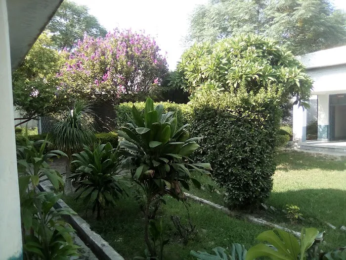 Govt College of Management Sciences Picture 6