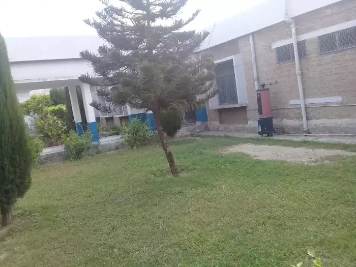 Govt College of Management Sciences Picture 2
