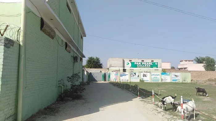 Pak Pearl College Mianwali Picture 1