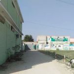 Pak Pearl College Mianwali