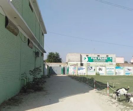Pak Pearl College Mianwali