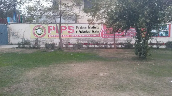PIPS Picture 3